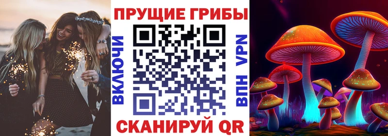 Псилоцибиновые грибы GOLDEN TEACHER  Адыгейск 